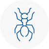 Ant Removals In Louth
