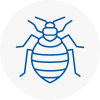 Bed Bug Extermination In Louth