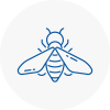 Bee Nest Removal Louth