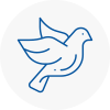 Bird Prevention Louth
