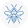 Louth Hornet Nest Removals