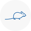 Mice Exterminators In Louth