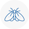 Moth Control Specialists In Louth