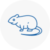 Rat Control Louth