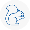 Louth Rodent Removals