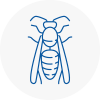 Louth Wasp Nest Removal
